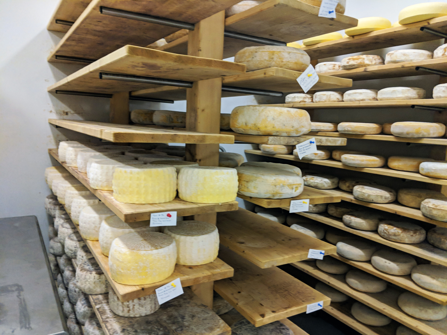 Creamery Takes Third Place At American Cheese Society News, Sports